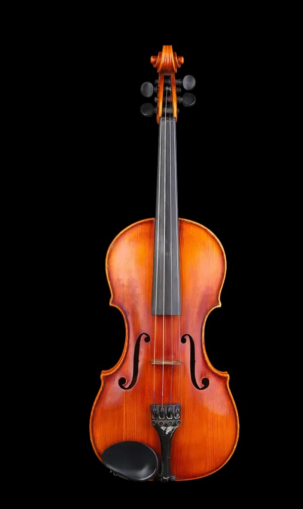 Viola