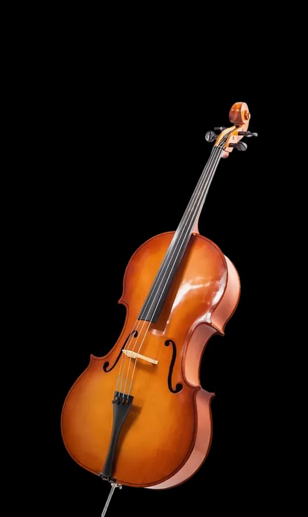 Violončelo