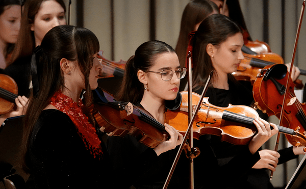 Violina - srce orkestra