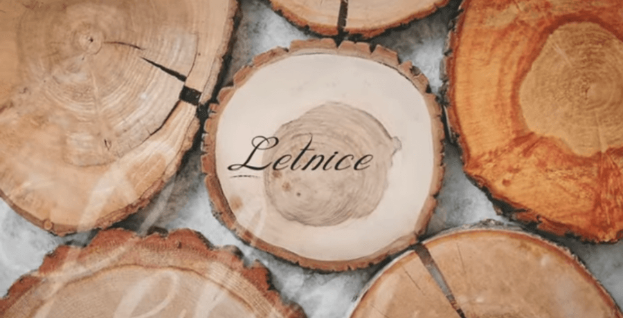 news-letnice-nov-videospot-glasbene-sole-velenje.png