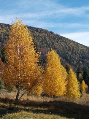 news-odpiralni-cas-sole-med-jesenskimi-pocitnicami.JPG