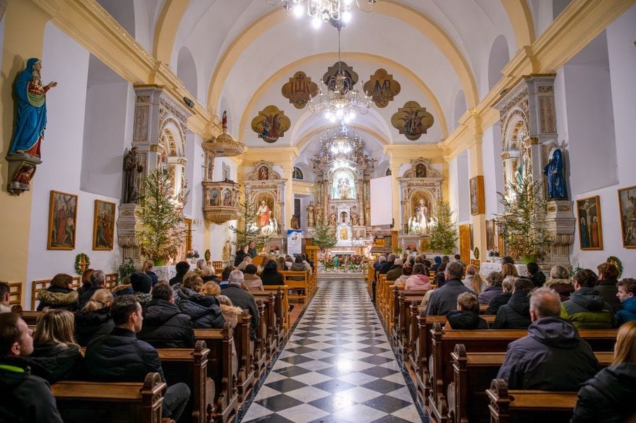 news-skupni-orgelski-koncert-pri-sv-jozefu-celje.jpg