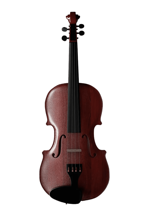 Violina