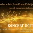 Premiera spletnega koncerta učiteljev Glasbene šole Velenje